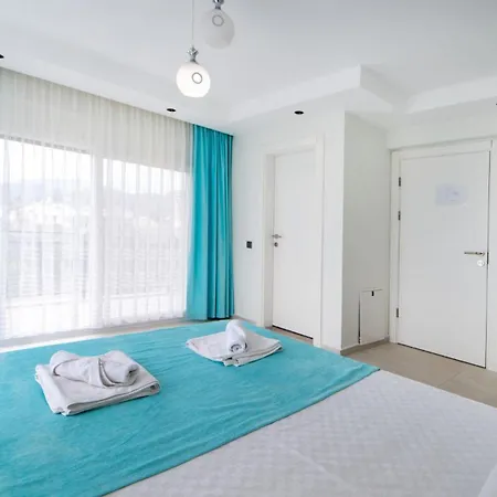 Huge Triplex W Pool And Garden In Vilă